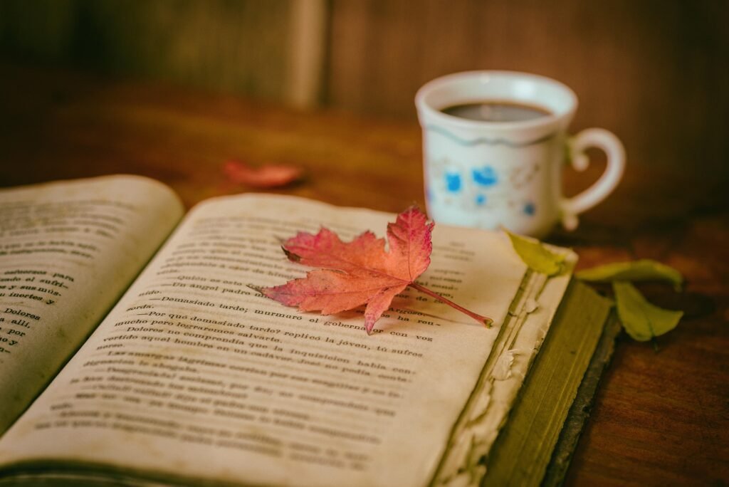 autumn cozy book